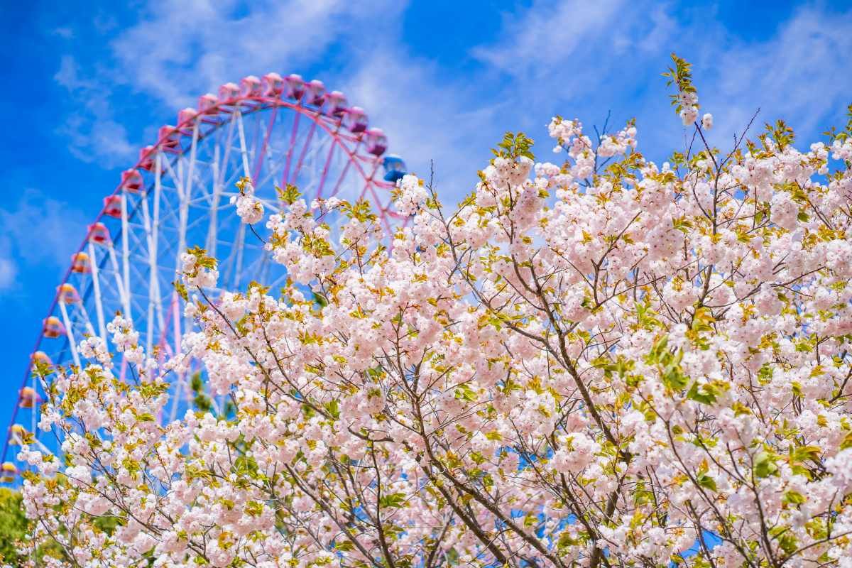 🏞️ 도쿄 임해 광역 방재 공원(도쿄 린카이 코우이키 보우사이 코우엔) 이미지 7